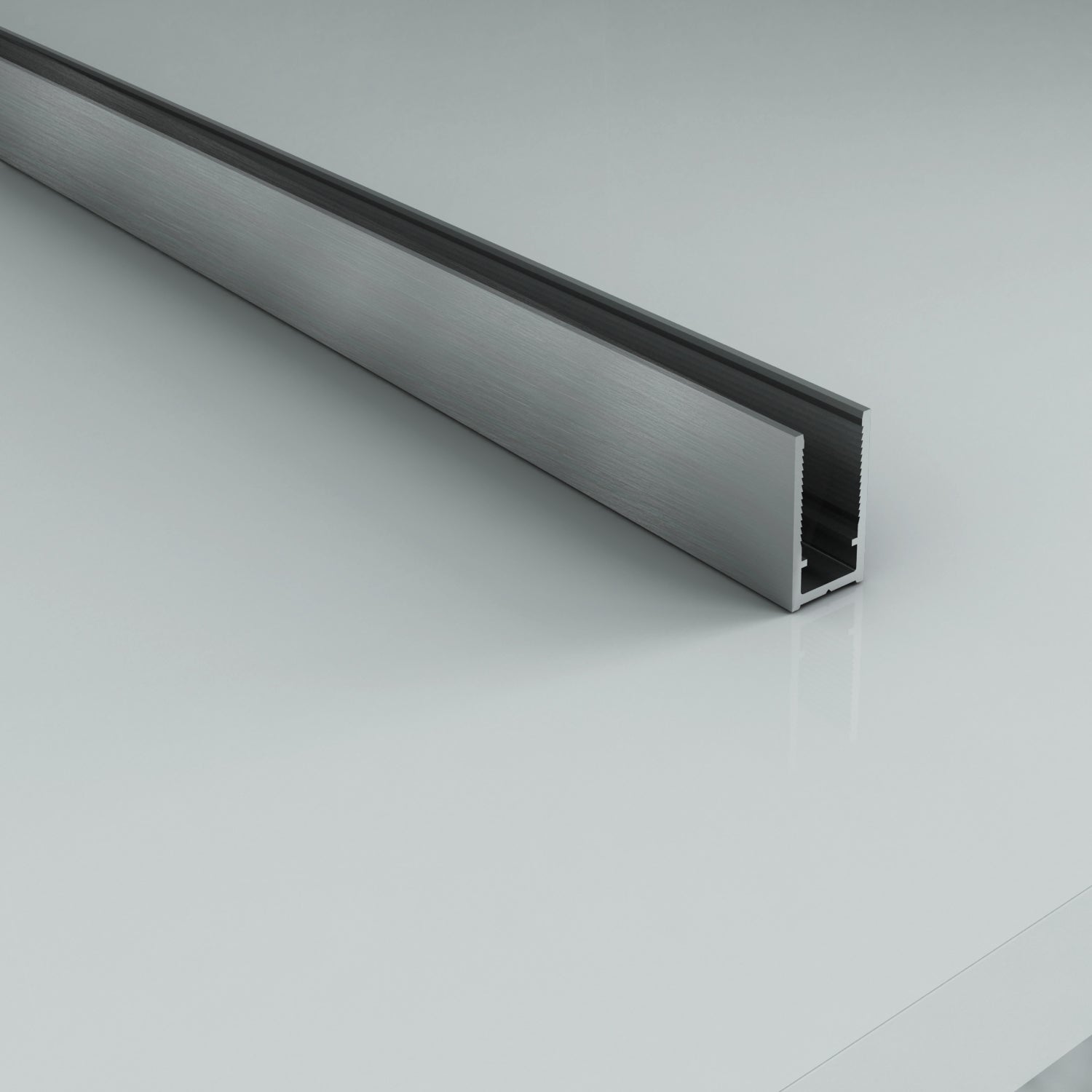 Aloni muurprofiel voor douchewand - 200 cm - rvs