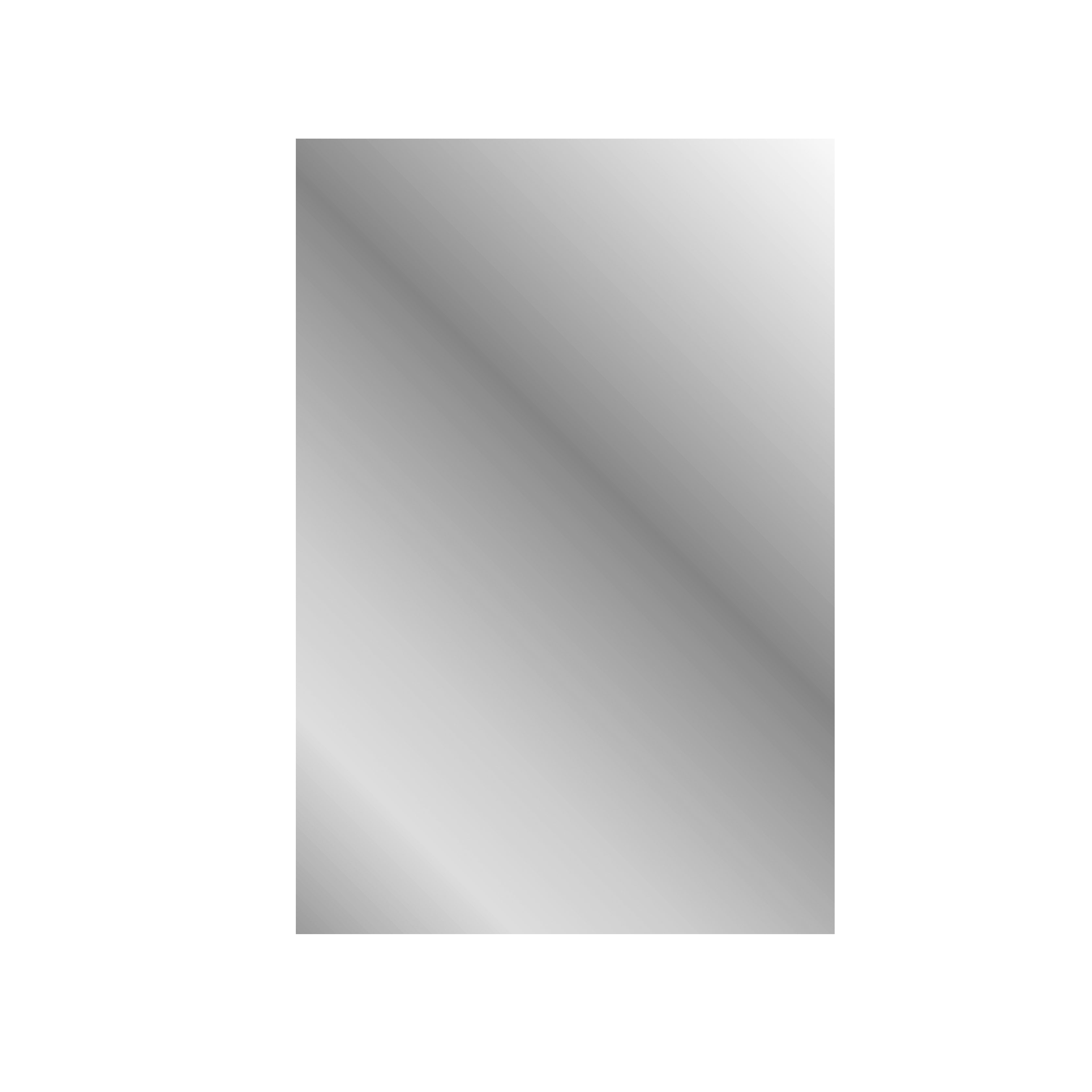 Aloni mikaro toiletspiegel - met lijst - 40x60x1,9 cm - licht eiken