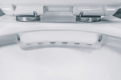 Aloni pro hangtoilet - randloos - met zitting - thermoplast (pp) - soft close - quick release - 35,5x41x54,5 cm - glanzend wit